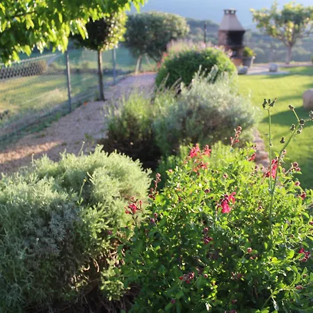 Apartament Vall Farfanya